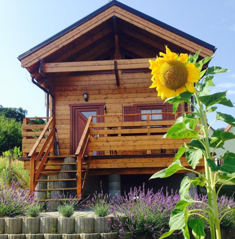 Holiday Home image 4