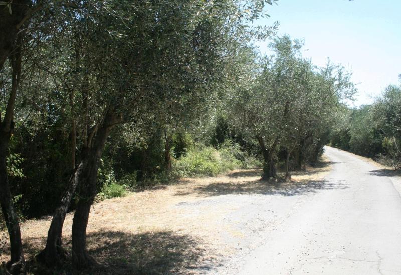 Poderi Lenzi - image 3