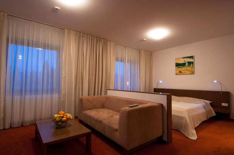 Deluxe Double Room image 4