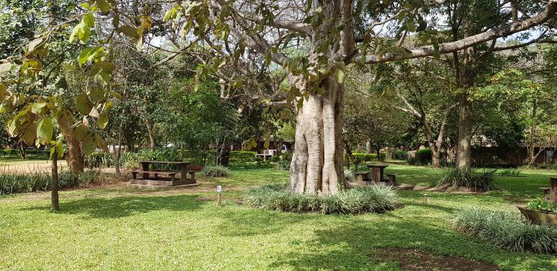 Barefoot Lodge and Safaris - Malawi - image 6