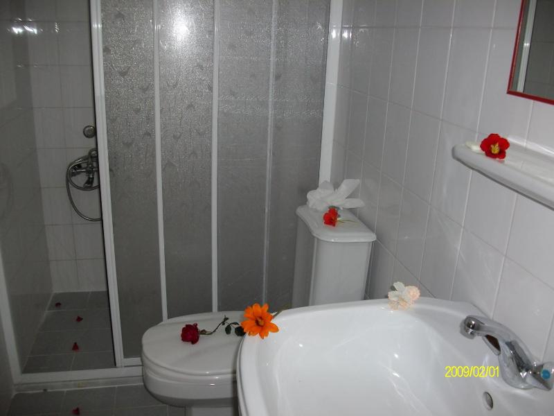 One-Bedroom Apartment (3 Adults) image 3