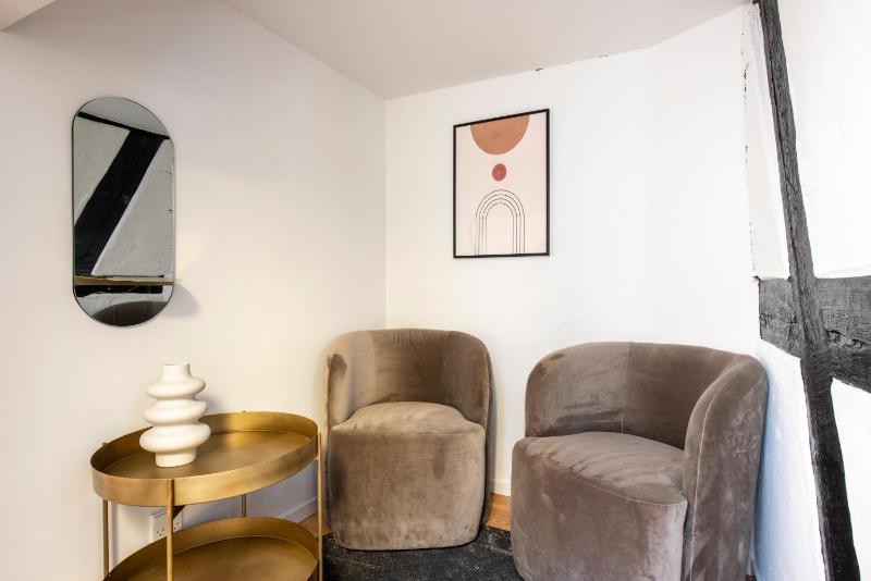 Regent 2- Endearing 1-Bdr Apt in Centre of Copenhagen - image 11
