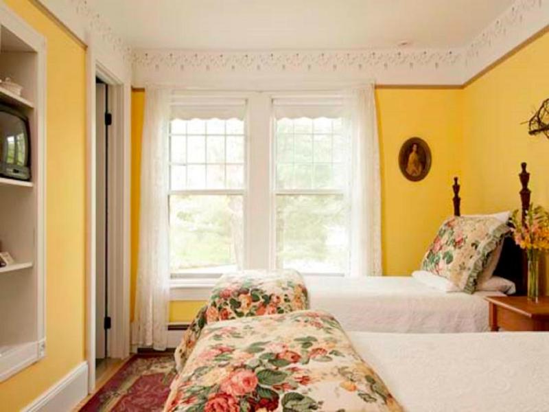 Deluxe Double or Twin Room image 1