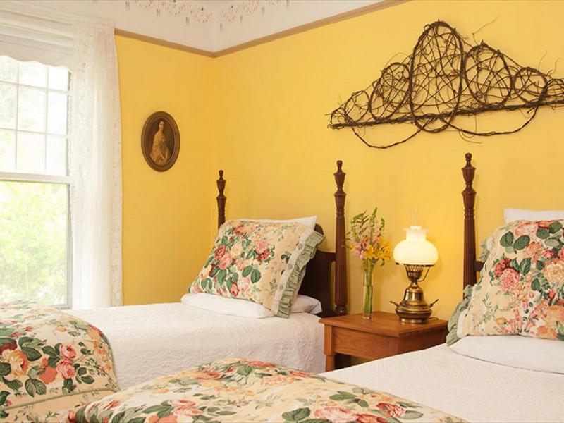 Deluxe Double or Twin Room image 2