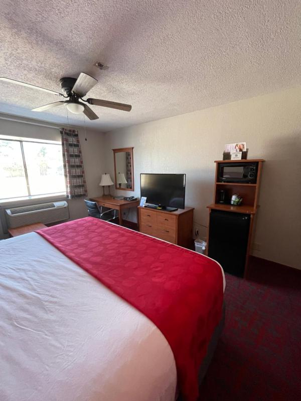 King Studio Suite - Non-Smoking image 3