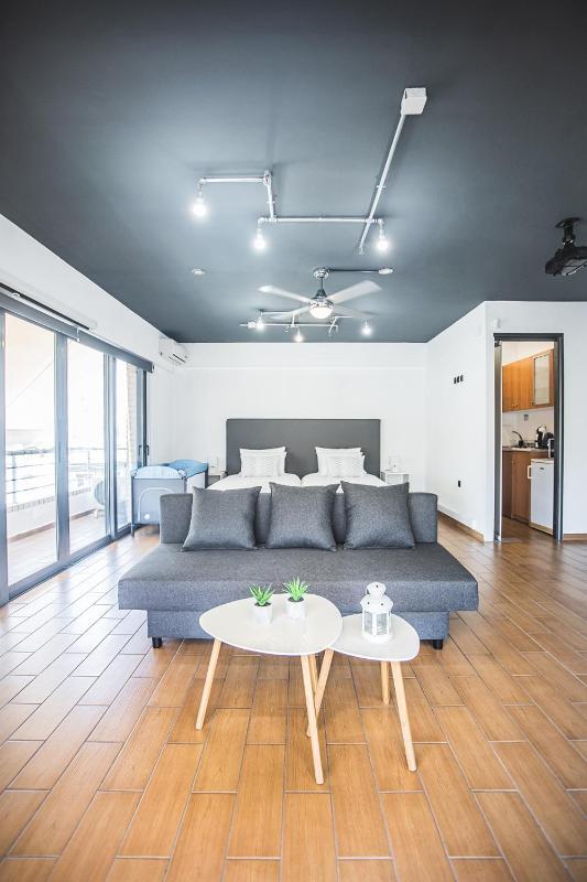 One-Bedroom Apartment image 4