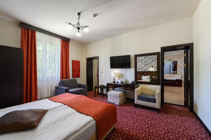 Superior Double Room image 3