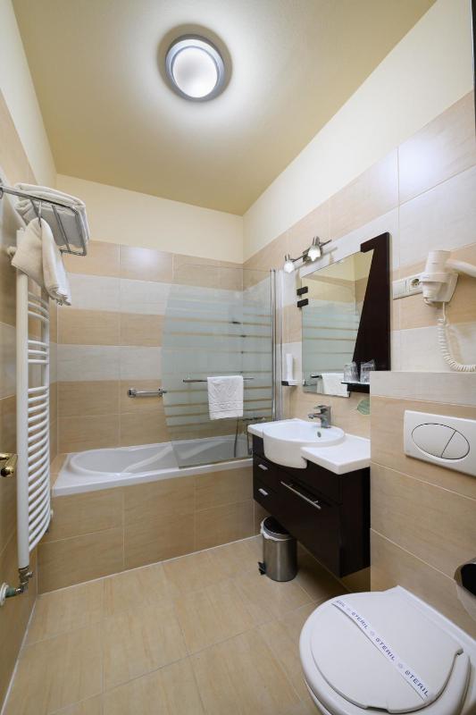 Standard Double Room image 4