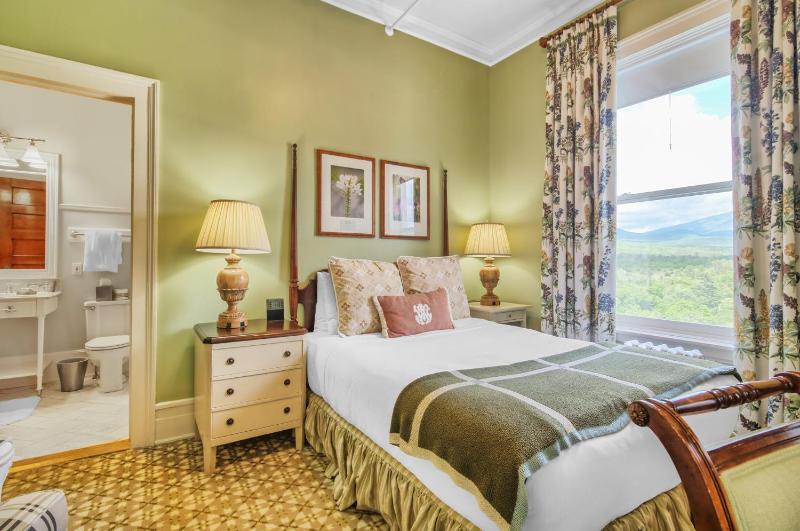 European Room 1 Queen Bed image 2
