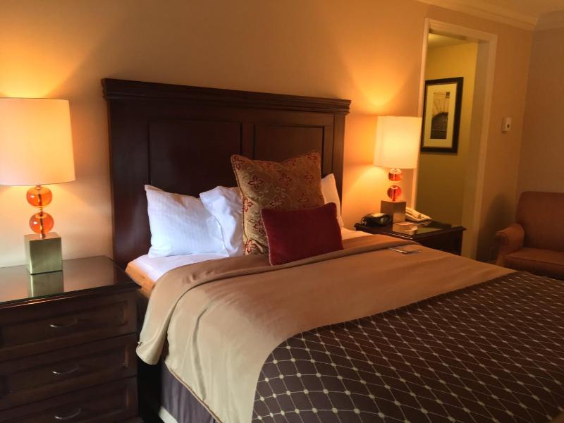 Executive Suite - One King Bed image 1