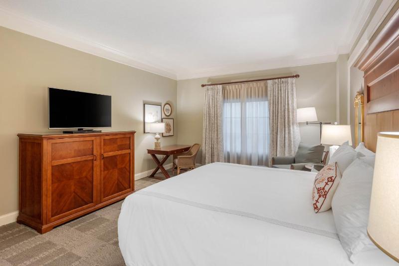 Premier Room - 1 King Bed image 2