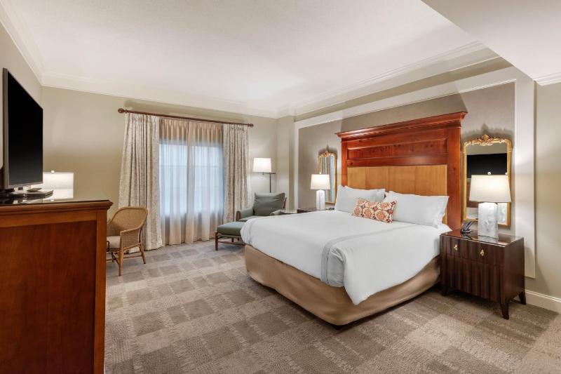 Premier Room - 1 King Bed image 3