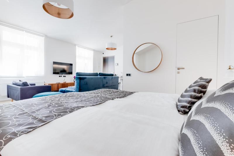 One-Bedroom Apartment image 3