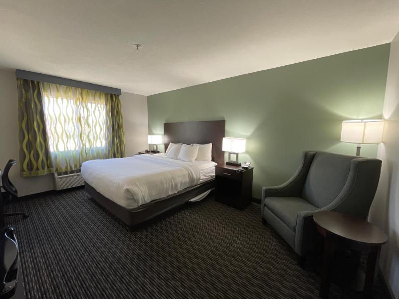 King Room with Roll-in Shower - Mobility Access/Non-Smoking image 1