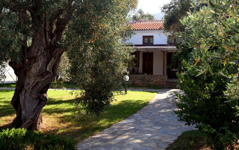 Bungalow with Sea View image 4