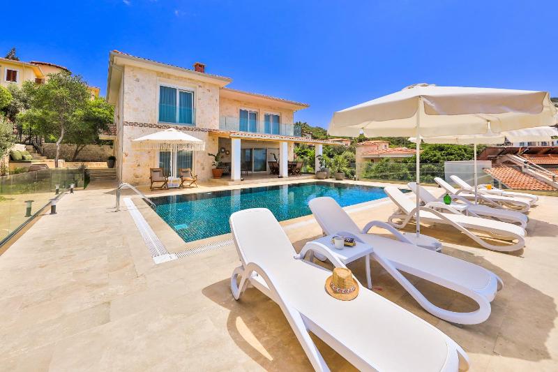 Deluxe Villa image 2