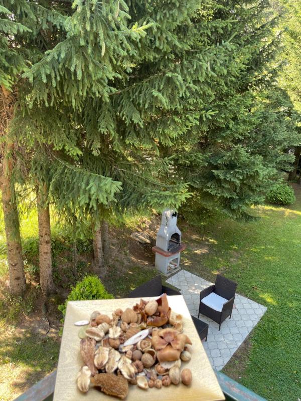 Duplex Apartment image 3