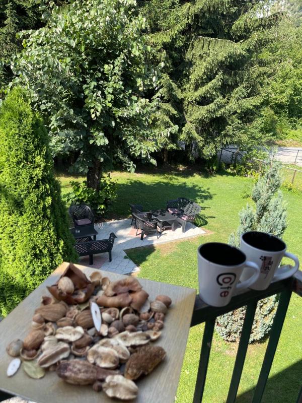 Duplex Apartment image 2