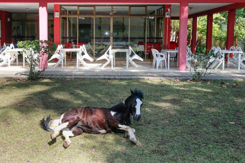 Indaiá Praia Hotel - image 24