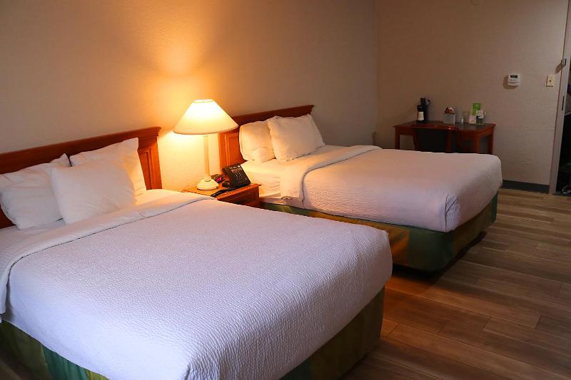Deluxe Double with Two Double Beds  image 4