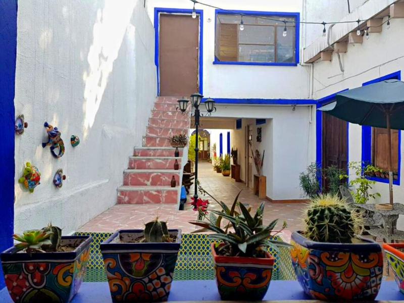 Ikali Hostel - image 23
