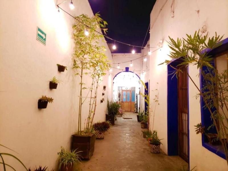 Ikali Hostel - image 41