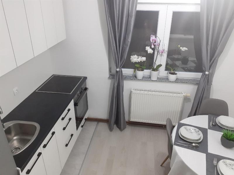 Apartman Dalal - with access to river Una - image 2