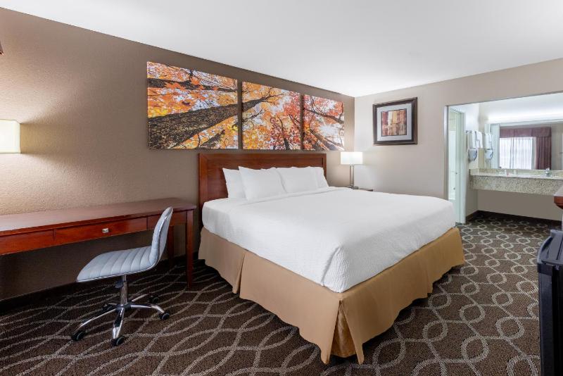 King Room - Non-Smoking image 4