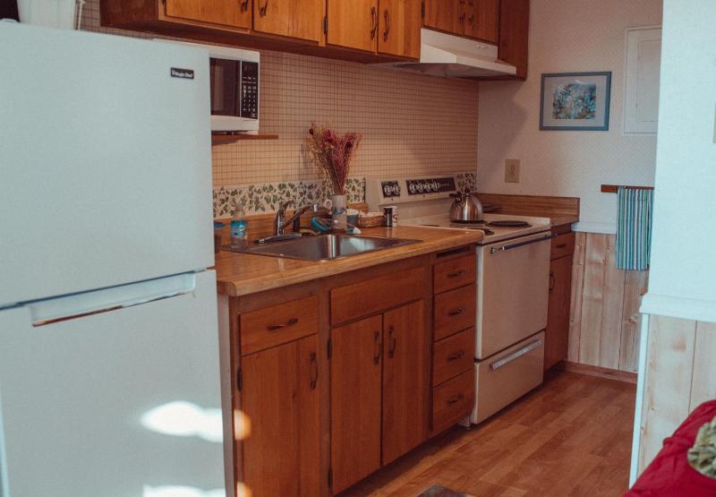 Apartment - Ground Floor image 4