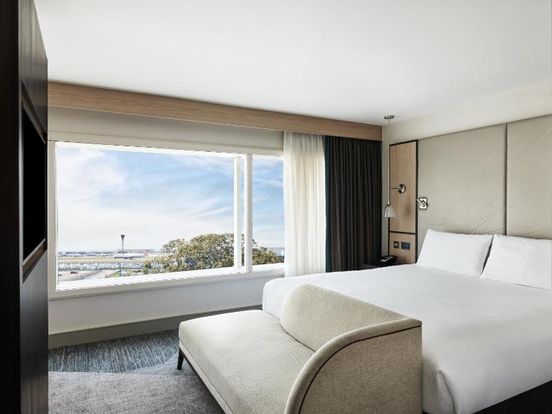 Deluxe King Room with View image 1