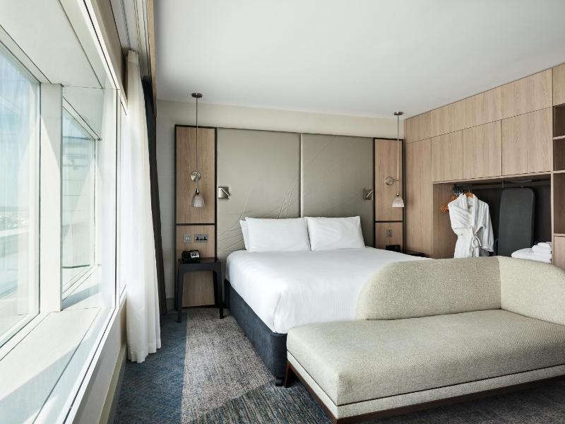 Deluxe King Room with View image 4