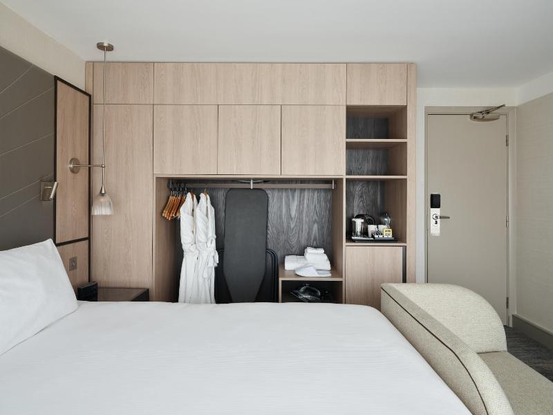 Deluxe King Room with View image 2