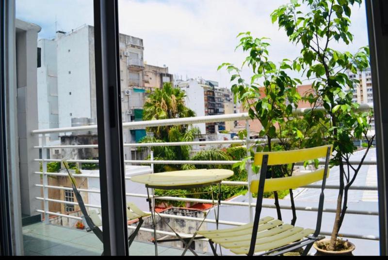 Palermo - lindo departamento - image 1