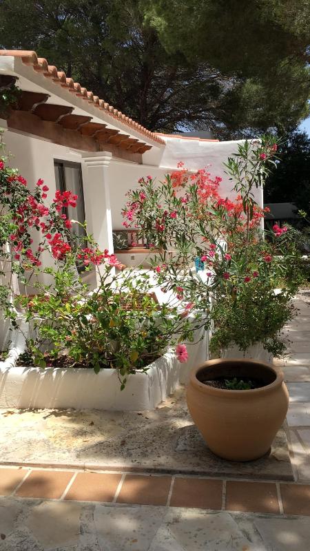 Standard Apartment image 3