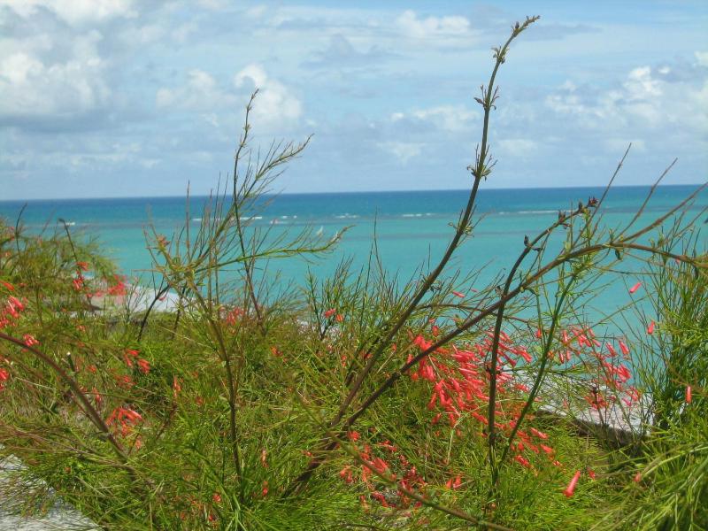 Apartamentos Praia de Pajucara - image 19