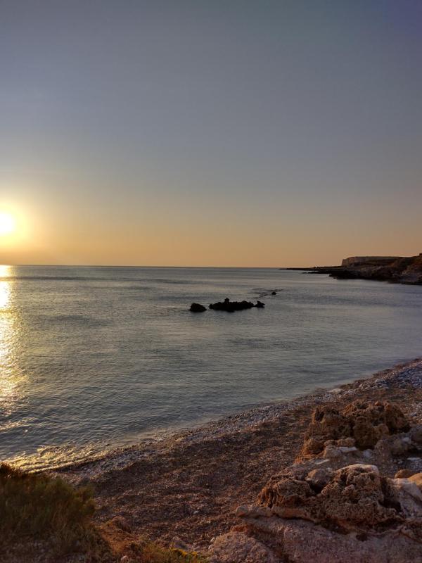 Sun Garden Hotel - image 31