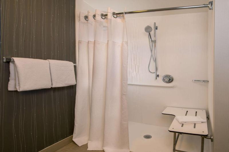 Mobility/Hearing Accessible Guestroom King Roll-In Shower image 3