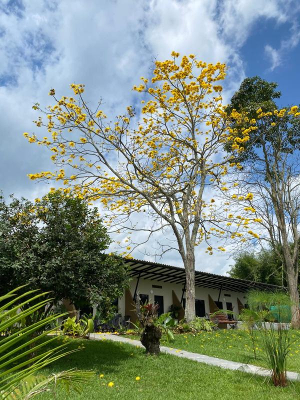 Baum Hotel - image 20