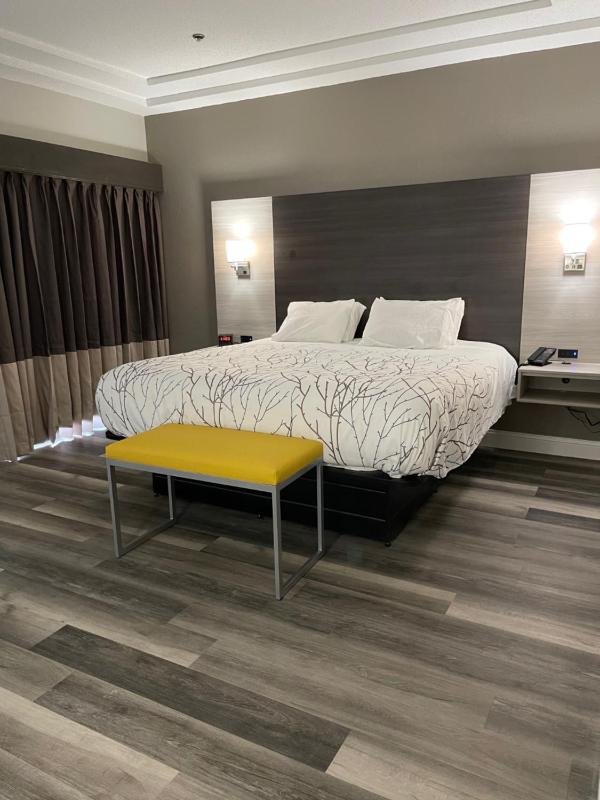 Deluxe King Room with Spa Bath image 2