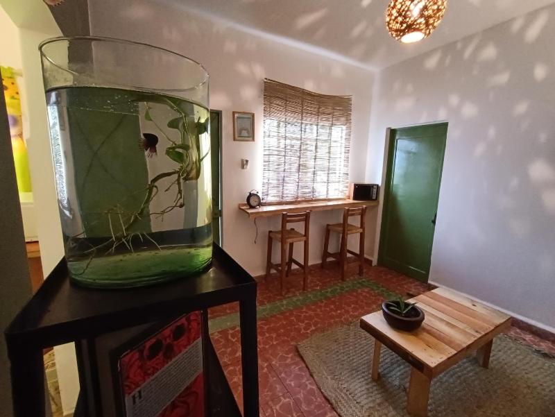 Posada Casa Mexicana Jamaica - image 19
