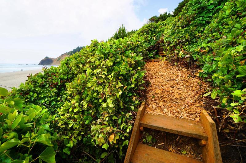 Salal Bluff - image 16