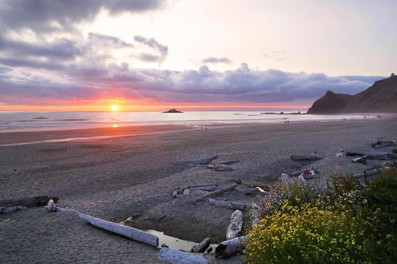 Salal Bluff - image 20