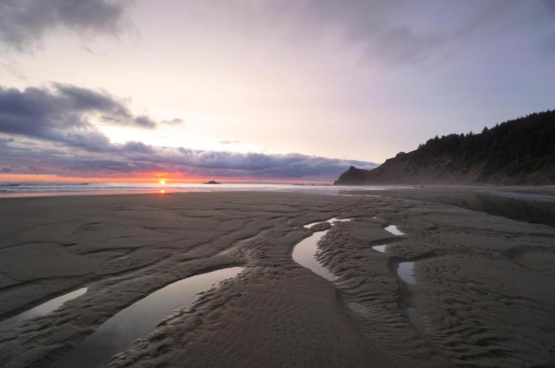 Salal Bluff - image 11