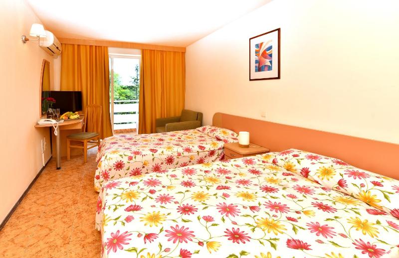 Double or Twin Room image 4