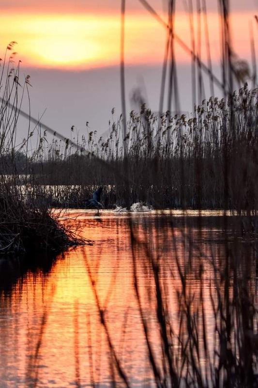 Double Room with Private Bathroom image 1