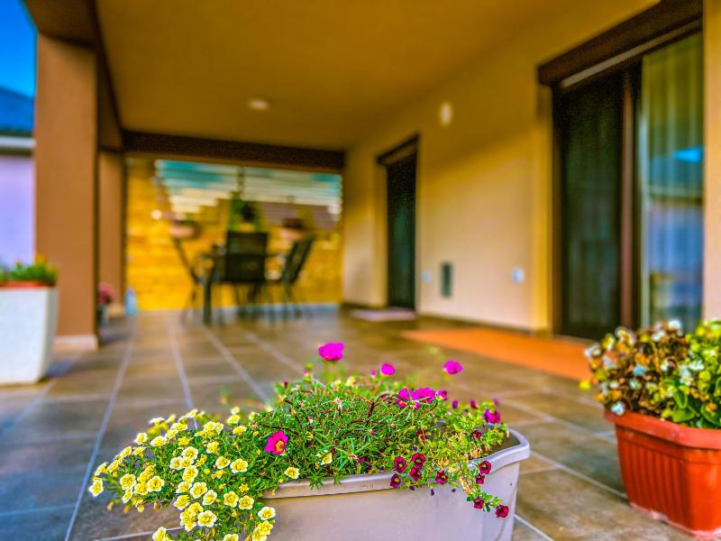 Daman Villa - image 2