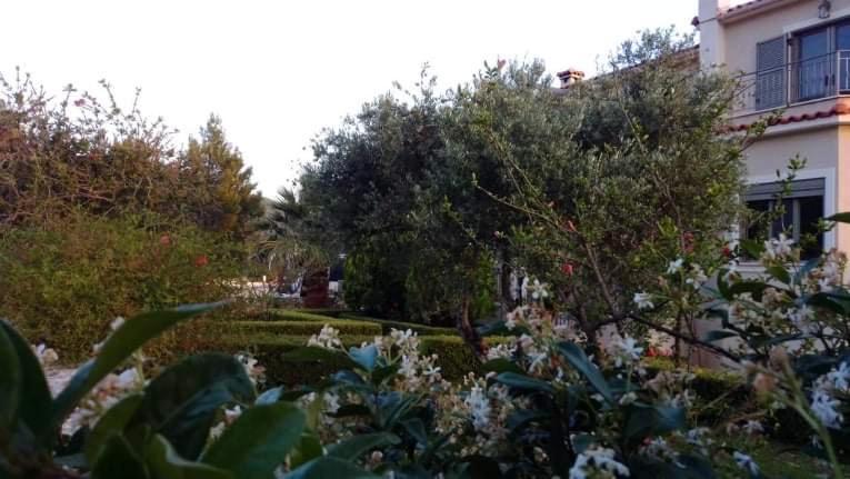 Villa Carousos - image 12
