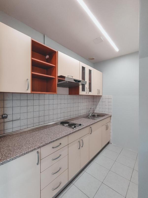 One-Bedroom Apartment image 3
