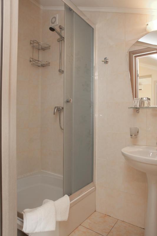 Standard Twin Room image 4