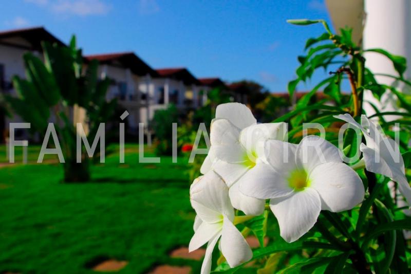 Flats a 100 metros da Praia - image 16
